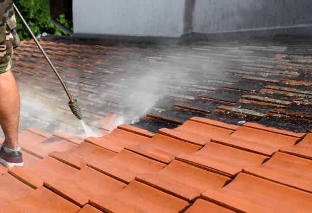 Best Deck Pressure Washing  in Kulpmont, PA
