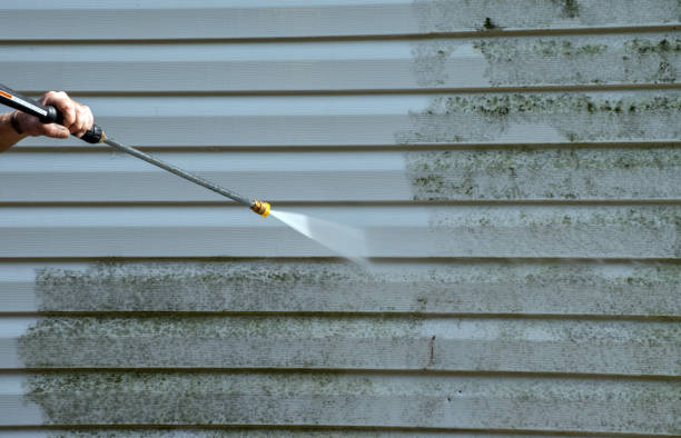 Best Roof Pressure Washing  in Kulpmont, PA
