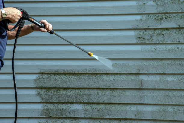 Professional Pressure Washing in Kulpmont, PA