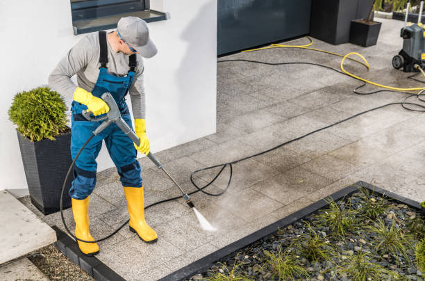 Best House Pressure Washing  in Kulpmont, PA