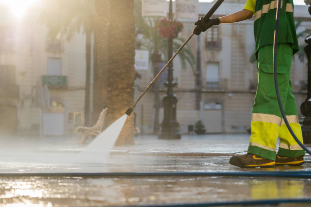 Best Roof Pressure Washing  in Kulpmont, PA