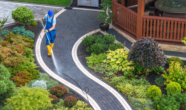 Best Exterior Home Cleaning  in Kulpmont, PA